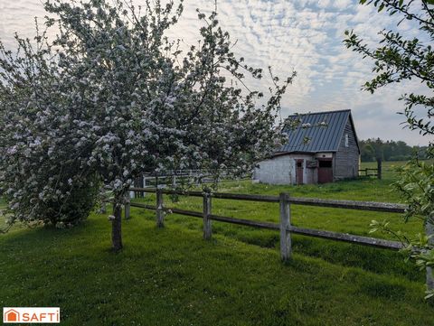 photo no. 10