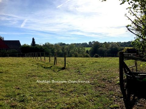Terrain à bâtir hors lotissement - Annebault