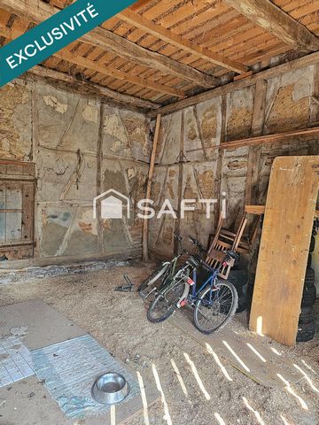 photo no. 6