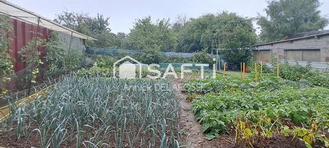 photo no. 13