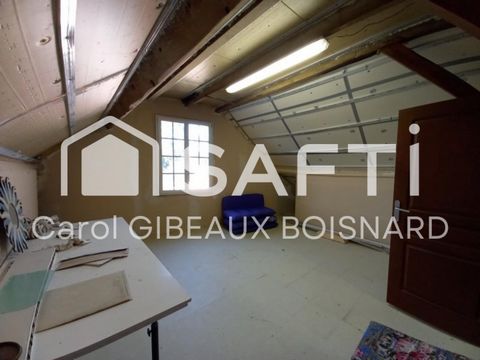 photo no. 13