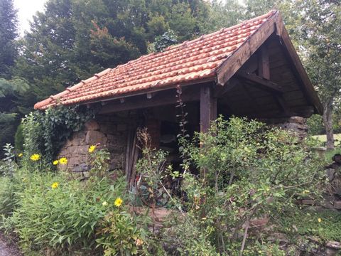 photo no. 10
