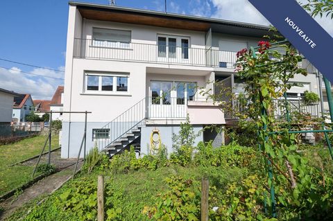 photo no. 10