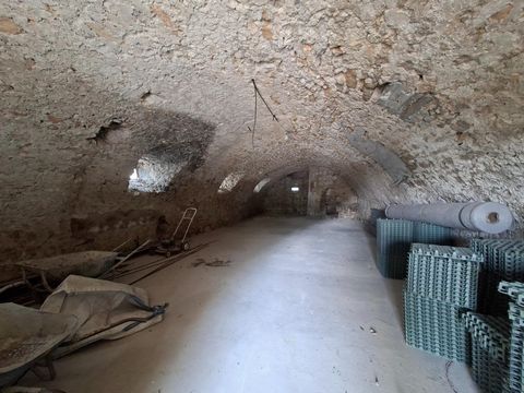 photo no. 15