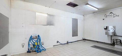 photo no. 5