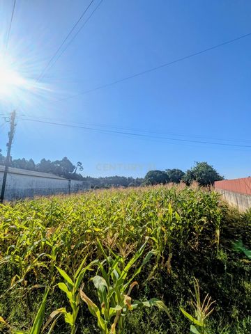 Apresentamos este terreno amplo e versátil, situado na localidade tranquila de Serena, no concelho de Oliveira do Bairro. Área total: 1.655 m² Localização privilegiada: zona calma, com bons acessos às principais vias rodoviárias. Potencial construtiv...