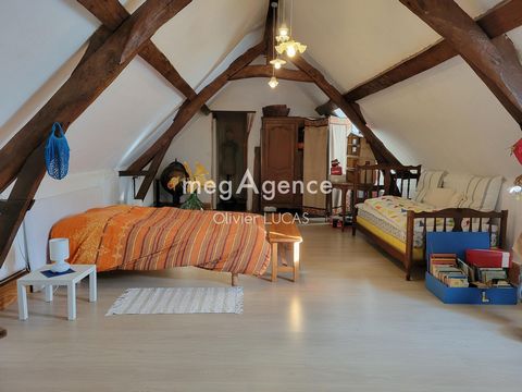 photo no. 15