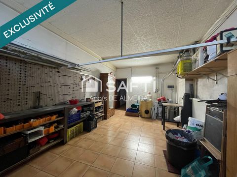 photo no. 13