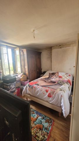 photo no. 14