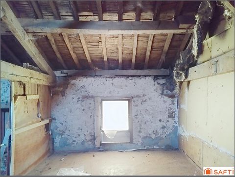 photo no. 10