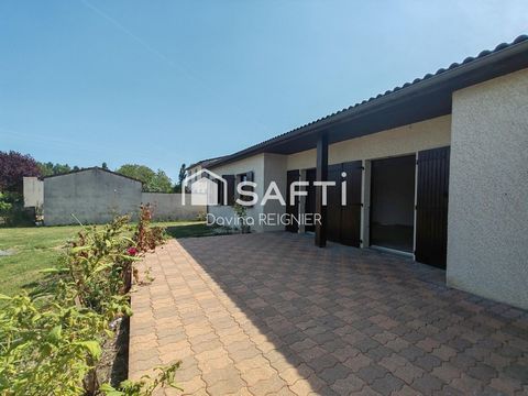 photo no. 10