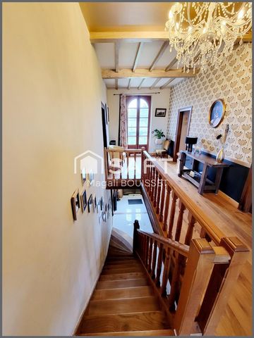 photo no. 12