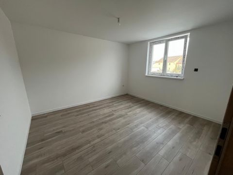 photo no. 13