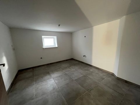 photo no. 15