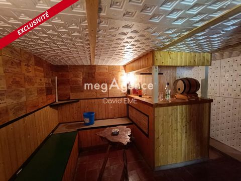 photo no. 10