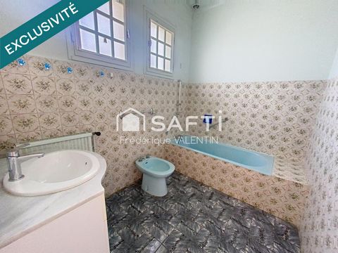photo no. 11