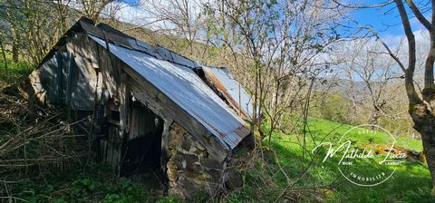 photo no. 3