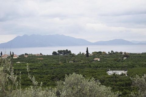 Epidauros. Te koop een perceel van 7.700 m², De woning is gelegen in Harvouri (Trapezaki) van het oude Epidauros, Argolis Prefectuur. Het gebied is amfitheaterachtig, een olijfgaard met 150 olijfbomen en het is bebouwbaar, het bouwt 275 m². De afstan...