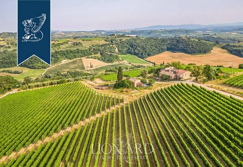 À cheval entre Florence et Sienne, ce splendide domaine agricole et vitivinicole se dresse dans la zone renommée du Chianti Colli Fiorentini. Un terroir unique de 118 hectares de terrain, consacrés pour la plupart à la production de vin et d'hui...