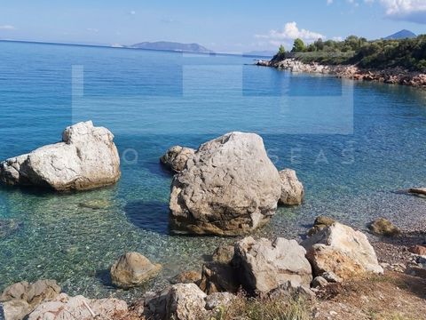 Heavenly located seafront plot of land for sale in Argolida, Peloponnese surrounded by tall trees and the beautifully clear water. A extremelly spacious estate of land round 65.000sqm, a very secluded area that has a building capacity of 260sqm resid...