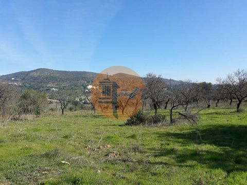 Rustic land with 1860m2, the land has good access by tarmac road, has electricity very close. The land already has some trees, almond trees, carob trees. In addition to the features mentioned above, the terrain also has a great location. Surrounding ...