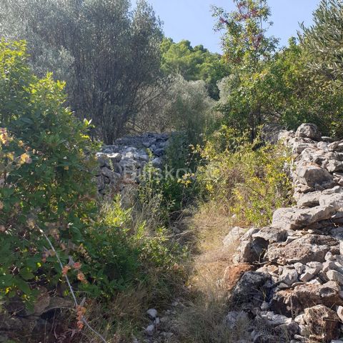Vela Luka, agricultural land with an area of 10.756 m2, only 5 minutes' drive from the center of Vela Luka. A road that leads to the land is partly gravel. The land is mostly under pine trees and part is under old uncultivated olive trees. Good acces...