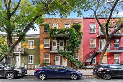 Beautiful 6 plex in Hochelaga/Maisonneuve in which several renovations have been carried out in recent years. The 2 apartments on the 2nd floor as well as the 2 apartments on the 3rd floor have been completely renovated (except doors and windows). Th...