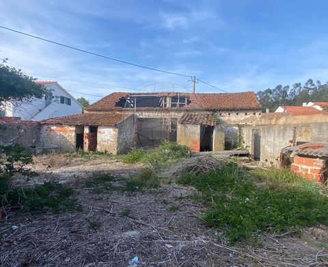 Description House to recover to your liking on a plot of 671.97m² Come and see this blank canvas and make your dream home here! In the town of Macarca, 5 minutes from São Martinho do Porto Beach and 10 minutes from Nazaré Beach, we find this property...