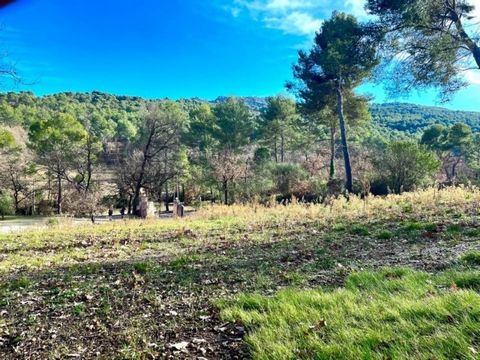On the heights of the town of Roque d'Anthéron, I offer you a building plot of approximately 1000 m², perfectly sunny. The land benefits from a dominant view of the hills with a south-facing exposure. The easements are at the edge of the plot. No cle...