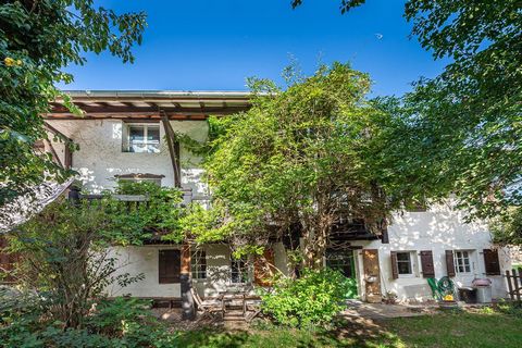 Charming farmhouse property near the Swiss border. Authentic semi-detached farmhouse. Located in a quiet and green, this charming old building with stone and exposed beams, offers 200 m2 of living space spread over 3 levels. Adorned with 267 m2 of gr...