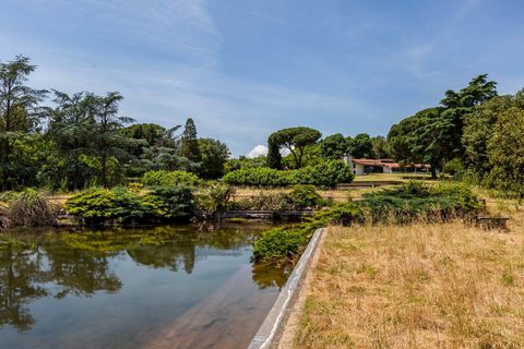 Formello - Via di Santa Cornelia - A few minutes from Rome, immersed in a 40,000 m2 park, we offer for sale a villa with unique characteristics. Once through one of the 4 entrance gates, you find yourself immersed in a private natural park, with a re...