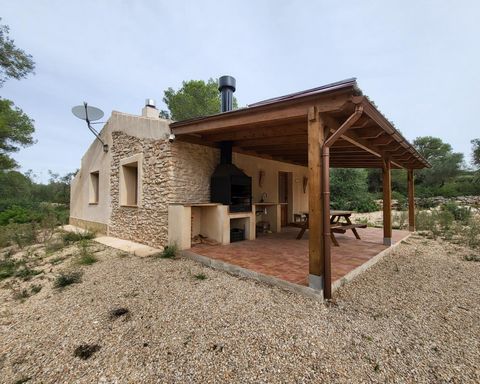 In the municipality of El Perelló we sell a Rustic Property of 13130 m2 planted with olive trees in a quiet and natural environment It has running water from its connection to an irrigation comunity and electricity through an efficient and modern sol...