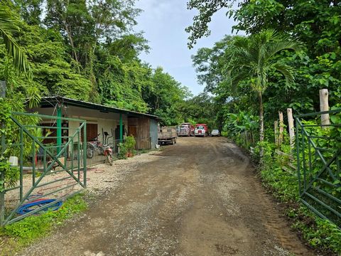 Située au cœur de Nosara, Casa Verde Nosara offre une opportunité exceptionnelle tant pour ceux qui recherchent une maison que pour les investisseurs.   Casa Verde Nosara se compose d’une maison principale et d’un appartement indépendant, offrant un ...