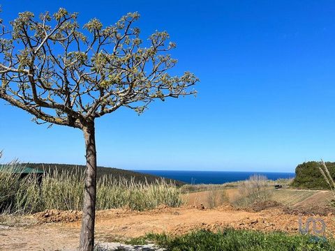 Lote para construção de uma moradia de sonho a 5 minutos da PRAIA, com o sossego do campo e uma belíssima VISTA MAR!! O lote com área total 349m2 permite a construção de moradia independente com 2 pisos acima da soleira e PISCINA. - Área máxima de co...