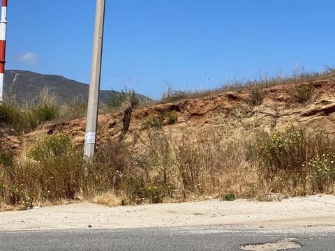 Terreno in vendita nell'Ejido Ruiz Cortínez, Ensenada, Baja California, si estende su 3.750 metri quadrati è di 47,07 m2 per 79,66 m2 e ha un uso versatile del suolo che include opzioni per uso misto, il che implica la possibilità di sviluppo in aree...