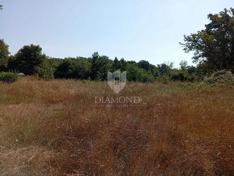 Location: Istarska županija, Labin, Labin. A spacious building plot for sale in the vicinity of the picturesque town of Labin. The land area is 4707 m², and it is characterized by a flat surface and a regular shape, ideal for the construction of vari...