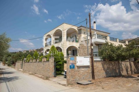 Property Code: 25325-10645 - House FOR SALE in Nea Agchialos Kritharia for € 900.000 . This 521 sq. m. House consists of 3 levels and features 6 Bedrooms, 3 Livingrooms, 3 Kitchens, 6 bathrooms . The property also boasts Heating system: individual - ...