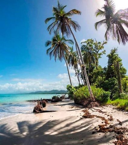 Geweldige woning in de buurt van de hoofdweg. Dicht bij een van de meest populaire parken van Costa Rica, het Puerto Vargas National Park, op korte afstand van de belangrijkste voorzieningen in de omgeving en het mooie en relaxte stadje Cahuita. Het ...