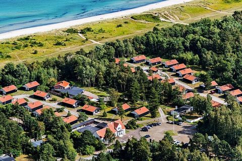 Direkt am 20 km langen Ostsee-Sandstrand - so weit das Auge reicht. Hier gibt es Natur, Strand, Wasser und ein reiches Tierleben. Danland Marielyst Im Ferienpark Marielyst liegen Ihnen 20 km Sandstrand zu Füßen. Vom Strandufer erstreckt sich die Osts...