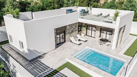 MODERN NEW BUILD DETACHED VILLA WITH PRIVATE POOL IN PINOSO~~New Build Independent modern villas that can be built on rustic or urban plots of land we have a wide range available in the area of Pinoso:~~•3 bedrooms, 2 bathrooms~• Private swimming poo...