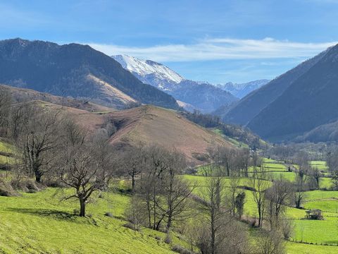 Coup de cœur pour cette maison de village/gîte d'environ 140m², garage d'env. 100m2 et jardin de 200m2, situé au pied des montagnes à 15 min d’Oloron Sainte Marie et 5 min de Lurbe-Saint-Christau. Salon/séjour de 35m², 2 cuisines, 2 salles d'eau, 2 S...