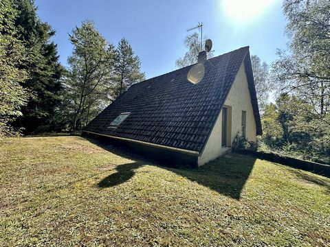 photo no. 3