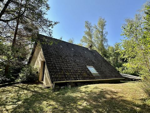 photo no. 4