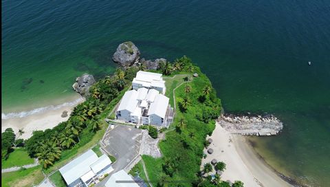 Enjoy the soft sea breeze, the impressive infinite view and the whisper of the waves from its spacious terrace.  Sometimes you can admire the exciting dances of the humpback whales, while you enjoy the sun.  LOCATION 45 minutes from El Catey Airport ...