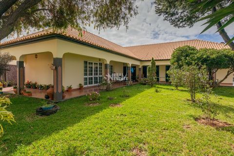 Villa de 3 chambres, avec grand jardin et terres agricoles, à une altitude de 180 mètres au-dessus du niveau de la mer, avec une vue fabuleuse sur la mer et la montagne. Avec 3 chambres, dont une en suite, avec de très grands espaces, un très grand s...