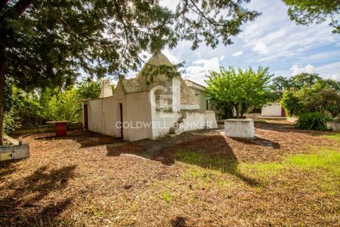 Historic Trulli dating back to 1600, composed of 2 cones and 2 alcoves, with an ancient stone oven attached. They are in good structural condition, attached to them, a large lamia also in good condition. The lamia is composed as follows: at the entra...