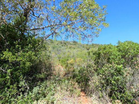 Terrain rustique dans une zone rurale de la paroisse de São Clemente, municipalité de Loulé en Algarve. Cette propriété rustique a une superficie totale de terrain de 2319m2 composée de culture arable, surplombant les environs merveilleux et super re...