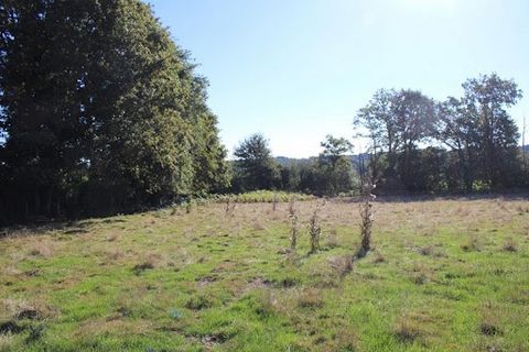 Chassenon Dorf Villegoureix - Wenn Sie ein Bauprojekt haben und ein Grundstück mit einem atemberaubenden Blick auf die Natur wünschen, ohne dass in Zukunft gebaut werden kann. Grundstück am Ende des Dorfes, ganz in der Nähe von Annehmlichkeiten, 3 Mi...