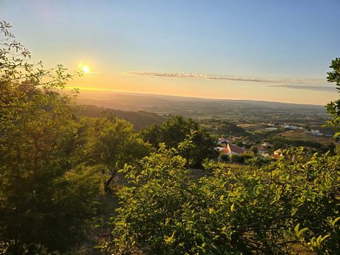 Terreno único em Pragança, junto à deslumbrante Serra do Montejunto, com uma vista panorâmica de tirar o fôlego! Este terreno oferece uma paisagem espetacular, abrangendo desde as encostas verdejantes da serra até ao horizonte, onde o mar se encontra...