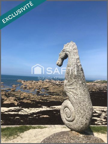 photo no. 10